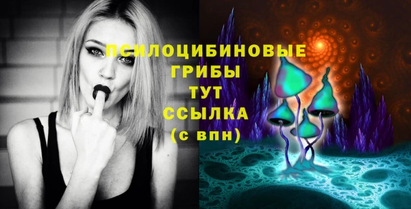СК Балахна